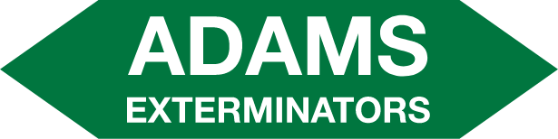 Adams Exterminator logo