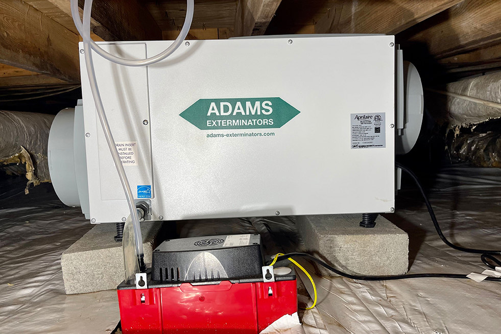dehumidifier under floorboards